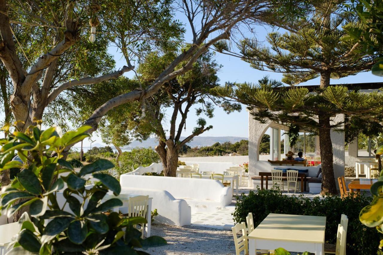 Villa Faros Small Hotel & Restaurant Aliko Beach エクステリア 写真