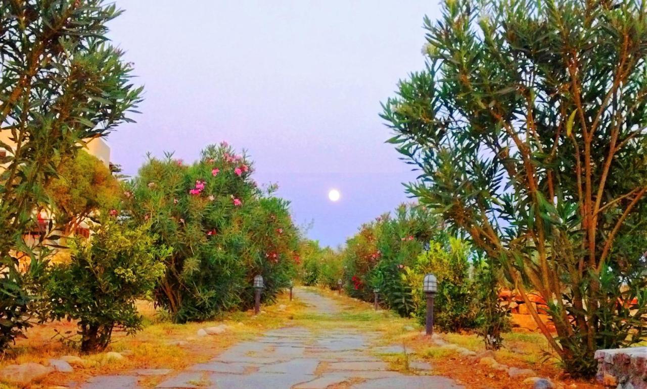 Villa Faros Small Hotel & Restaurant Aliko Beach エクステリア 写真